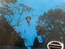 LOU DONALDSON Blues Walk CLASSIC/BLUE NOTE 1593 QUIEX 200g AUDIOPHILE Sealed