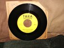THE BIRDWATCHERS- GARAGE *45* 1965 TARA LABEL FLORIDA GARAGE ROCK MINT