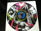 YEAH YEAH YEAHS fever to tell LP PICTURE DISC LTD ED RARE 03' the kills metric