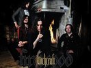 Witch Craft Firewood LP + Bonus 7 inch. Reissue, Clear Vinyl, Only 100 Copies