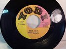 rare Funk 45 BOBBY McNUTT Hold Tight YODI 1002 VG++ to M- HEAR