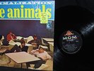SHRINK  1966 MONO Orig ANIMALS   ANIMALIZATION Beat Garage FUZZ PUNK RAVE UP