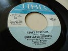 UNRELATED SEGMENTS RARE MICHIGAN GARAGE HBR LBL-514 STORY OF MY LIFE HEAR