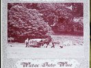WATER INTO WINE BAND – HARVEST TIME: EX+ - Folk Prog Monster Mega rare