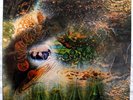 PINK FLOYD A Saucerful Of Secrets, STEREO, orig. blue/black Columbia SCX 6258
