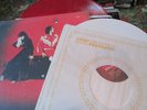 the White Stripes 