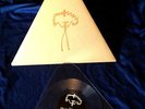 My Cat Is An Alien triangle 8” LATHE LTD 80 sonic youth jim o'rourke keiji haino