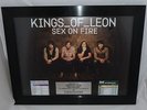 Kings Of Leon Radioaward 