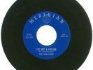 RARE 45 RPM The Creations, Meridian Records 7552 VG++ I've Got A Feeling/Wedding