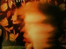 TY SEGALL -Lemons LP -thee oh sees mikal cronin white fence sic alps moonhearts