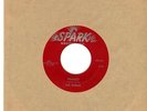 THE ROBINS 45rpm *RARE* Doo Wop (Spark 107) Framed *LISTEN-2-IT*