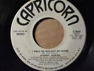 JOHNNY JENKINS Capricorn 800 Promo I WALK ON GUILDED SPLINTERS  -LISTEN