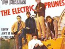 THE ELECTRIC PRUNES - I Had Too Much To Dream - RARE french 7