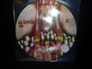 LED ZEPPELIN II. MAGNIFIQUE PICTURE DISC. ORIGINAL.PRESSAGE TURC.LIMITEE 360 COP