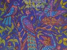 Saddar Bazaar - The Conference of the Birds -  Delerium psych vinyl LP