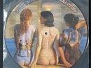 Pink Floyd -  Rare Beauties - Picture Disc Vinyl LP (New)