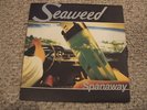Seaweed Spanaway Hollywood Records (Sub Pop) punk LP 1995 NM