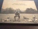 George Harrison All Things Must Pass