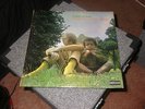 HENRY LOWTHER BAND - CHILD SONG (DERAM) RARE ORIGINAL UK LP PRESS