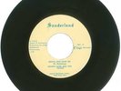 RARE 45 RPM, Robby Lynn & The Teens, Sunderland Records 1086 Angel You Sent Me