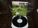 SNOW PATROL SONGS FOR POLARBEARS LP RECORD DEBUT RARE ON VINYL BELLE & SEBASTIAN