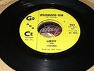 RARE GARAGE ROCKER Lefty And Leadsmen Wildwood Fun 45 Shiny EX+ GO and CE#103