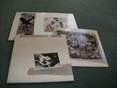 Fleetwood Mac - Tusk  UK first pressing dbl LP from 1979 Warner Bros. Near Mint