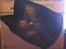 Fish Heads PICTURE DISC Barnes & Barnes Greatest Hits AUTOGRAPHED BY BILLY MUMY