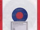 THE MOUNTAIN GOATS-STEAL SMOKED FISH/IN THE SHADOW OF THE WESTERN HILLS UNREL 7