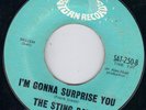 HOT R&B ROCKER/ ROCKABILLY SATURN - STING RAYS - I'M GONNA SURPRISE YOU   HEAR