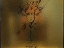 TRIADE 1998: La Storia di Sabazio LP Classic heavy Italian Prog, Japan press