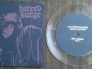 Hatred Surge 5