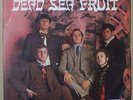 DEAD SEA FRUIT   SELF TITLD LP   RARE CAMP LABEL