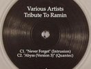 VA - Tribute To Ramin 2009 Dub Techno 2x12