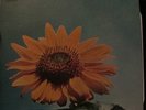 CHILDREN OF ONE - S/T LP ORIGINAL 1969 RARE PSYCH EX