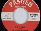 Funk 45 CALIFORNIA SOUL EXPLOSION The Feeling PASHLO HEAR VG++