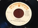 The Voices of East Harlem - Cashing In *Just Sunshine Records*