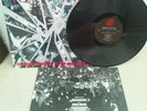 SICK OF IT ALL Blood, Sweat And No Tears LP In Effect orig NYHC SxE Judge
