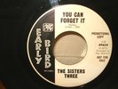 RARE SISTERS THREE YOU CAN FORGET IT/CAN YOU QUALIFY NORTHERN SOUL PROMO 45