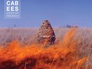 Maccabees Given To The Wild Double Vinyl / LP + CD - NEW
