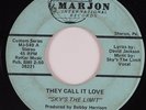 Sweet Soul 45 SKY'S THE LIMIT They Call It Love MARJON HEAR