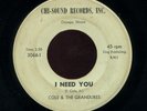 COLE & THE GRANDURES I NEED YOU RARE NORTHERN SOUL (CHI-SOUND)