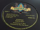 Ras Elroy Stepping Rare Killer Roots 12