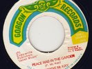 Freddie McKay - Peace Was In The Garden - Killer Shaka Selection WITHM DUB