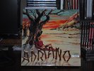 ADRIANO CELENTANO LE ROBE CHE HA DETTO ADRIANO LP 33 GIRI 12