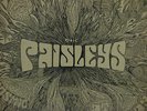 THE PAISLEYS Cosmic Mind At Play LP 1970 PSYCH Minneapolis PEACE STEREO 944S2809