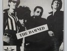 THE DAMNED: New Rose   1977 FRENCH SKYDOG PS ?? PUNK KBD