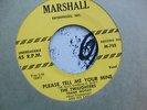 DOO WOP 45  TWILIGHTERS on MARSHALL PLEASE TELL ME YOUR MINE / WONDERING