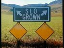 SLO Grown Volume 1 12