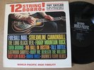Tut Taylor LP 12 String Dobro
